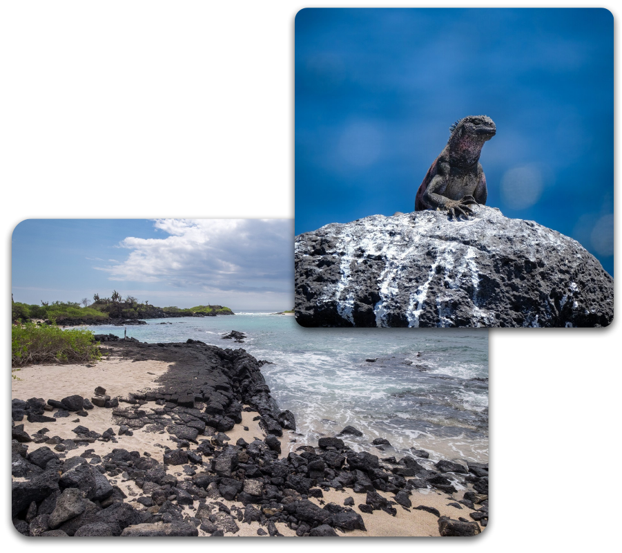 Galápagos travels and Accommodation - Ecuador